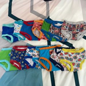 Lot of Toddler Boy Training Pants 2T